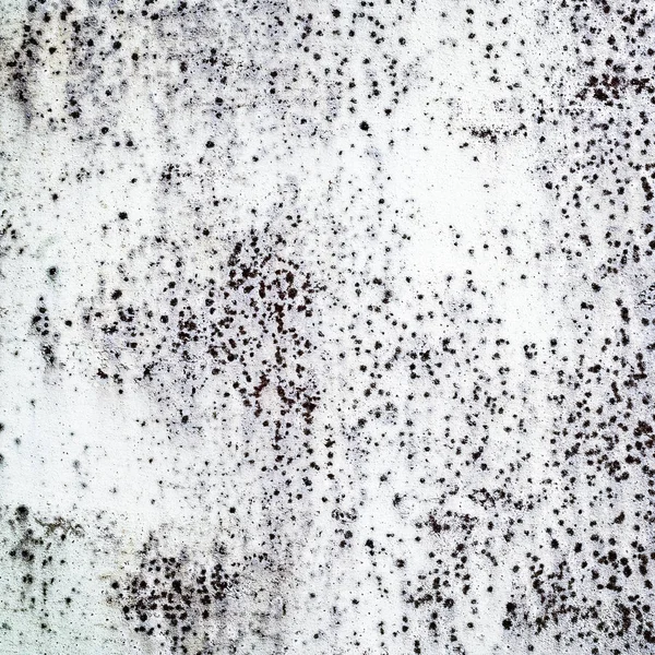 Grunge texture. white rusty surface. — Stock Photo, Image