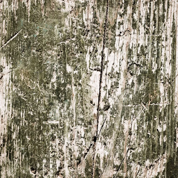 Oude groene houtstructuur achtergrond — Stockfoto