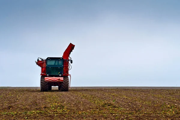 Agricultural vehicle harvesting sugar beet — Stock Photo, Image