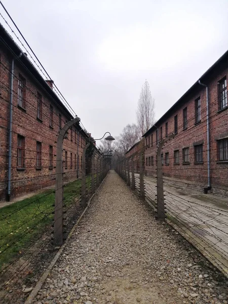 Oswiecim Krakov Polônia 2019 Museu Estatal Auschwitz Birkenau Campo Concentração — Fotografia de Stock