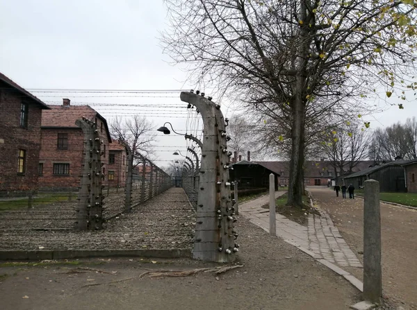 Oswiecim Krakov Polonya 2019 Auschwitz Birkenau Devlet Müzesi Alman Nazi — Stok fotoğraf