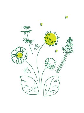 Vector illustration of Flowers, chamomile, bells, wildflowers. Spring summer floral pattern on a white background, poster, cover of the site, web page. clipart
