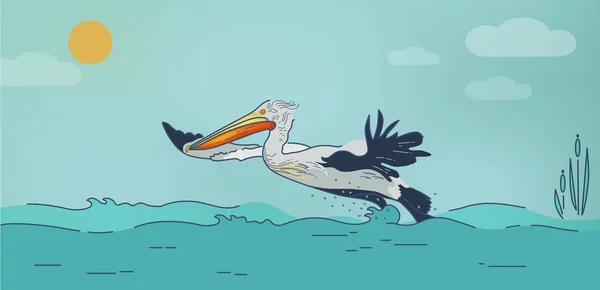 Ilustração Pássaro Voador Encaracolado Dálmata Pelicano Fundo Costa Água Mar — Vetor de Stock
