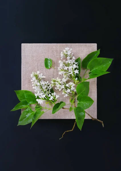 Gebroken Tak Van Witte Lila Bloemen Bloeien Canvas Beige Frame — Stockfoto