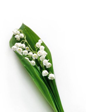 Bir buket beyaz nilüfer çiçeği, beyaz arka planda Zambak 'ın posteri. Tebrik kartı için şablon, üst görünüm, kopyalama alanı, metin ve düz uzanma yeri.