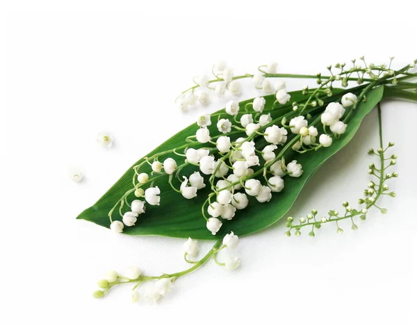 Boeket Witte Mei Lelie Bloemen Poster Van Lelies Van Vallei — Stockfoto