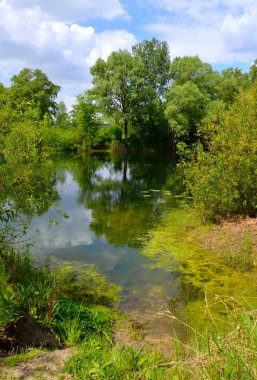 İle küçük bir göl manzara. Plesia