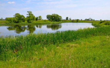 İle küçük bir göl manzara. Plesia