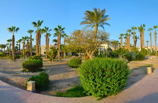 Bellissimo giardino verde in un hotel egiziano — Foto Stock