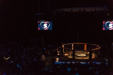 Hamburg, Almanya - 18 Kasım 2017: Octagon biz sırasında seviyorum Mma 34 