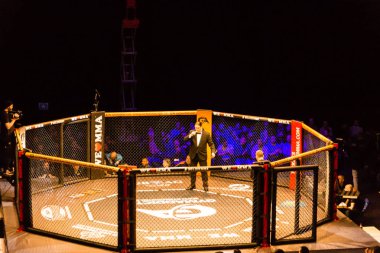 Hamburg, Almanya - 18 Kasım 2017: Octagon biz sırasında seviyorum Mma 34 