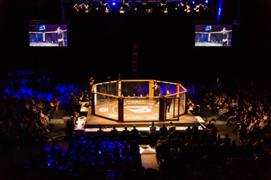 Hamburg, Almanya - 18 Kasım 2017: Octagon biz sırasında seviyorum Mma 34 
