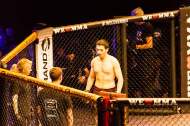 Hamburg, Almanya - 18 Kasım 2017: Said-Magomed Yanderbaev ve biz aşk Mma 34 sırasında kırmızı Kisangou arasındaki mücadele