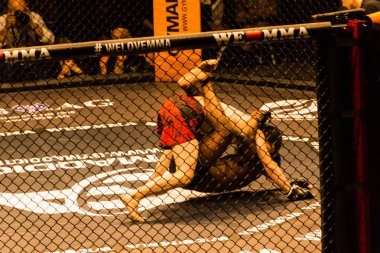 Hamburg, Almanya - 18 Kasım 2017: Said-Magomed Yanderbaev ve biz aşk Mma 34 sırasında kırmızı Kisangou arasındaki mücadele