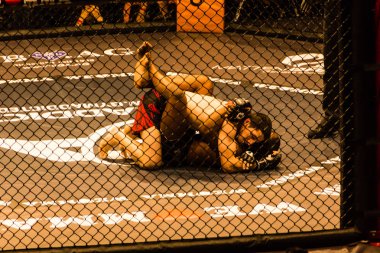 Hamburg, Almanya - 18 Kasım 2017: Said-Magomed Yanderbaev ve biz aşk Mma 34 sırasında kırmızı Kisangou arasındaki mücadele