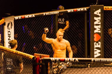 Hamburg, Almanya - 18 Kasım 2017: Artur Reis ve Poorya Zaheri biz aşk Mma 34 sırasında arasındaki mücadele 