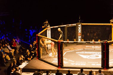 Hamburg, Almanya - 18 Kasım 2017: Artur Reis ve Poorya Zaheri biz aşk Mma 34 sırasında arasındaki mücadele 