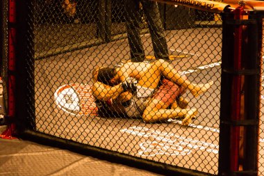 Hamburg, Almanya - 18 Kasım 2017: Artur Reis ve Poorya Zaheri biz aşk Mma 34 sırasında arasındaki mücadele 