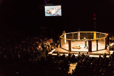 Hamburg, Almanya - 18 Kasım 2017: Artur Reis ve Poorya Zaheri biz aşk Mma 34 sırasında arasındaki mücadele 