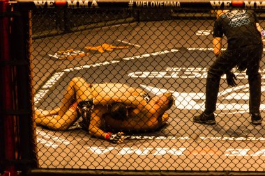 Hamburg, Almanya - 18 Kasım 2017: Artur Reis ve Poorya Zaheri biz aşk Mma 34 sırasında arasındaki mücadele 