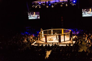 Hamburg, Almanya - 18 Kasım 2017: Artur Reis ve Poorya Zaheri biz aşk Mma 34 sırasında arasındaki mücadele 