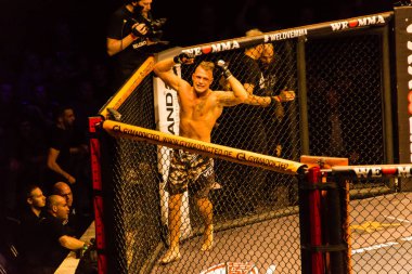 Hamburg, Almanya - 18 Kasım 2017: Artur Reis ve Poorya Zaheri biz aşk Mma 34 sırasında arasındaki mücadele 