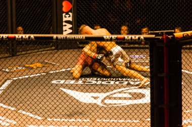 Hamburg, Almanya - 18 Kasım 2017: Artur Reis ve Poorya Zaheri biz aşk Mma 34 sırasında arasındaki mücadele 