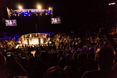 Hamburg, Almanya - 18 Kasım 2017: Artur Reis ve Poorya Zaheri biz aşk Mma 34 sırasında arasındaki mücadele 