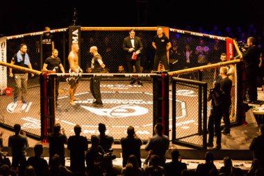 Hamburg, Almanya - 18 Kasım 2017: Artur Reis ve Poorya Zaheri biz aşk Mma 34 sırasında arasındaki mücadele 