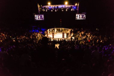 Hamburg, Almanya - 18 Kasım 2017: Artur Reis ve Poorya Zaheri biz aşk Mma 34 sırasında arasındaki mücadele 