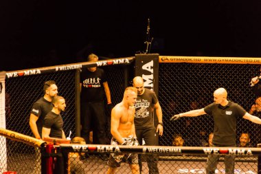 Hamburg, Almanya - 18 Kasım 2017: Artur Reis ve Poorya Zaheri biz aşk Mma 34 sırasında arasındaki mücadele 