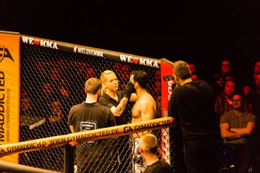 Hamburg, Almanya - 18 Kasım 2017: Ali Ramazan ve Aaron Froehlich biz aşk Mma 34 sırasında arasındaki mücadele 