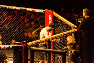 Hamburg, Almanya - 18 Kasım 2017: Ali Ramazan ve Aaron Froehlich biz aşk Mma 34 sırasında arasındaki mücadele 