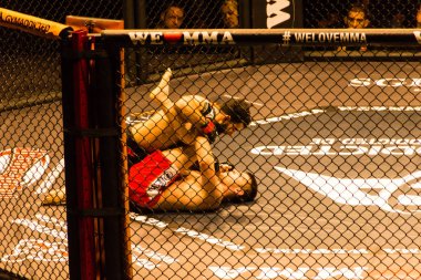 Hamburg, Almanya - 18 Kasım 2017: Ali Ramazan ve Aaron Froehlich biz aşk Mma 34 sırasında arasındaki mücadele 