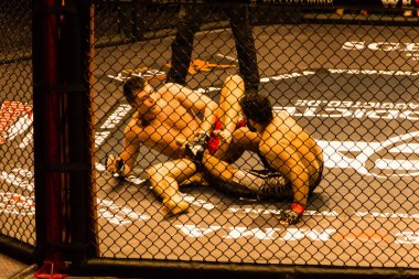 Hamburg, Almanya - 18 Kasım 2017: Ali Ramazan ve Aaron Froehlich biz aşk Mma 34 sırasında arasındaki mücadele 