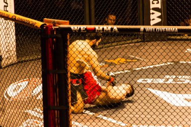 Hamburg, Almanya - 18 Kasım 2017: Ali Ramazan ve Aaron Froehlich biz aşk Mma 34 sırasında arasındaki mücadele 