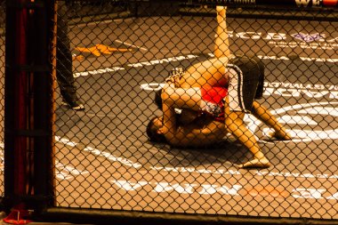 Hamburg, Almanya - 18 Kasım 2017: Ali Ramazan ve Aaron Froehlich biz aşk Mma 34 sırasında arasındaki mücadele 