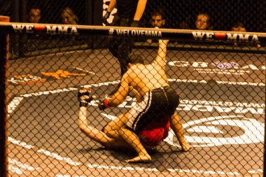 Hamburg, Almanya - 18 Kasım 2017: Ali Ramazan ve Aaron Froehlich biz aşk Mma 34 sırasında arasındaki mücadele 