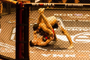 Hamburg, Almanya - 18 Kasım 2017: Ali Ramazan ve Aaron Froehlich biz aşk Mma 34 sırasında arasındaki mücadele 