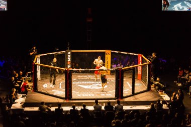 Hamburg, Almanya - 18 Kasım 2017: Ali Ramazan ve Aaron Froehlich biz aşk Mma 34 sırasında arasındaki mücadele 
