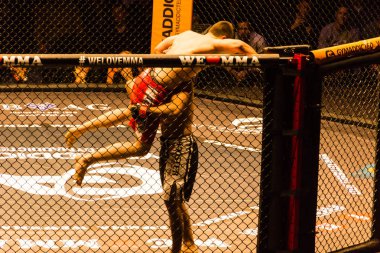 Hamburg, Almanya - 18 Kasım 2017: Ali Ramazan ve Aaron Froehlich biz aşk Mma 34 sırasında arasındaki mücadele 