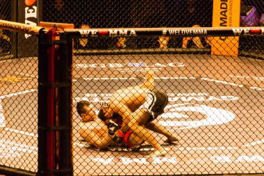 Hamburg, Almanya - 18 Kasım 2017: Ali Ramazan ve Aaron Froehlich biz aşk Mma 34 sırasında arasındaki mücadele 