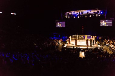 Hamburg, Almanya - 18 Kasım 2017: Idris Aloulou ve Jonathan Grenon biz aşk Mma 34 sırasında arasındaki mücadele 