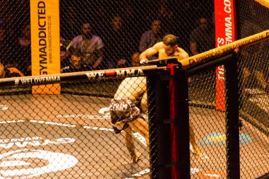 Hamburg, Almanya - 18 Kasım 2017: Idris Aloulou ve Jonathan Grenon biz aşk Mma 34 sırasında arasındaki mücadele 