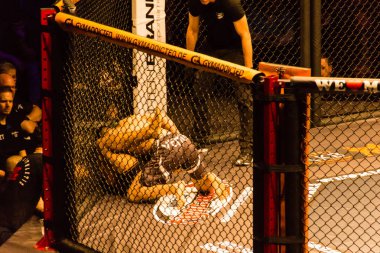 Hamburg, Almanya - 18 Kasım 2017: Idris Aloulou ve Jonathan Grenon biz aşk Mma 34 sırasında arasındaki mücadele 