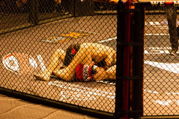 Hamburgo Alemania Noviembre 2017 Lucha Entre Ali Ramadan Aaron Froehlich —  Fotos de Stock