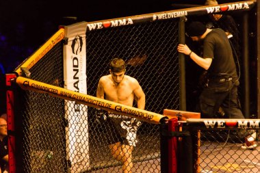 Hamburg, Almanya - 18 Kasım 2017: Yaaa Schafie ve Ashab Elichanov biz aşk Mma 34 sırasında arasındaki mücadele 