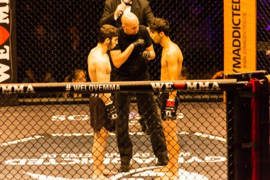 Hamburg, Almanya - 18 Kasım 2017: Yaaa Schafie ve Ashab Elichanov biz aşk Mma 34 sırasında arasındaki mücadele 