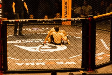 Hamburg, Almanya - 18 Kasım 2017: Yaaa Schafie ve Ashab Elichanov biz aşk Mma 34 sırasında arasındaki mücadele 