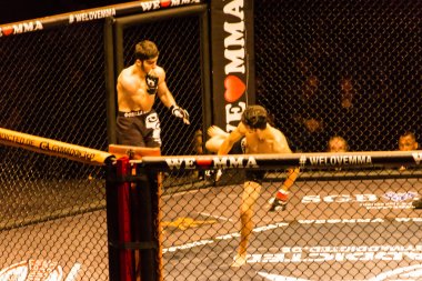 Hamburg, Almanya - 18 Kasım 2017: Yaaa Schafie ve Ashab Elichanov biz aşk Mma 34 sırasında arasındaki mücadele 